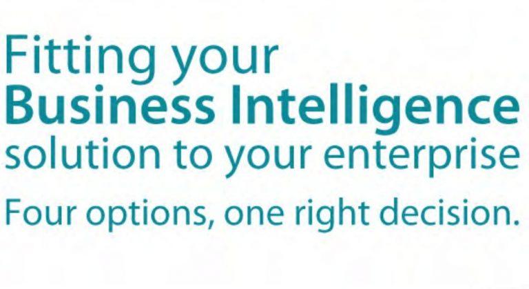 Fitting your Business Intelligence solution to your enterprise