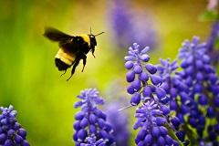 5 lời khuyên để tăng doanh thu khách sạn từ đặt phòng trực tiếp